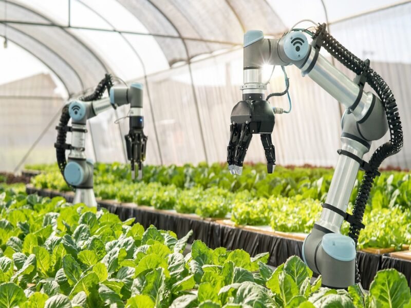  AI in Agriculture