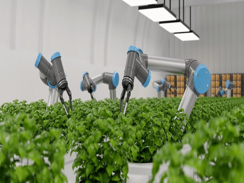  AI in Agriculture