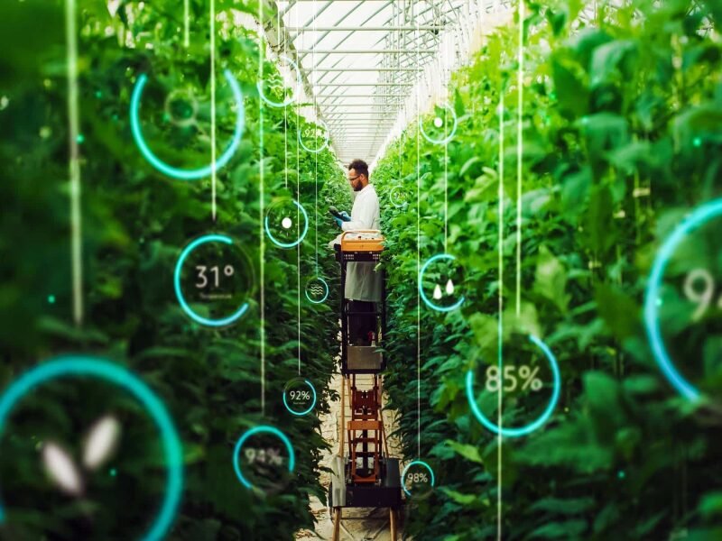  AI in Agriculture